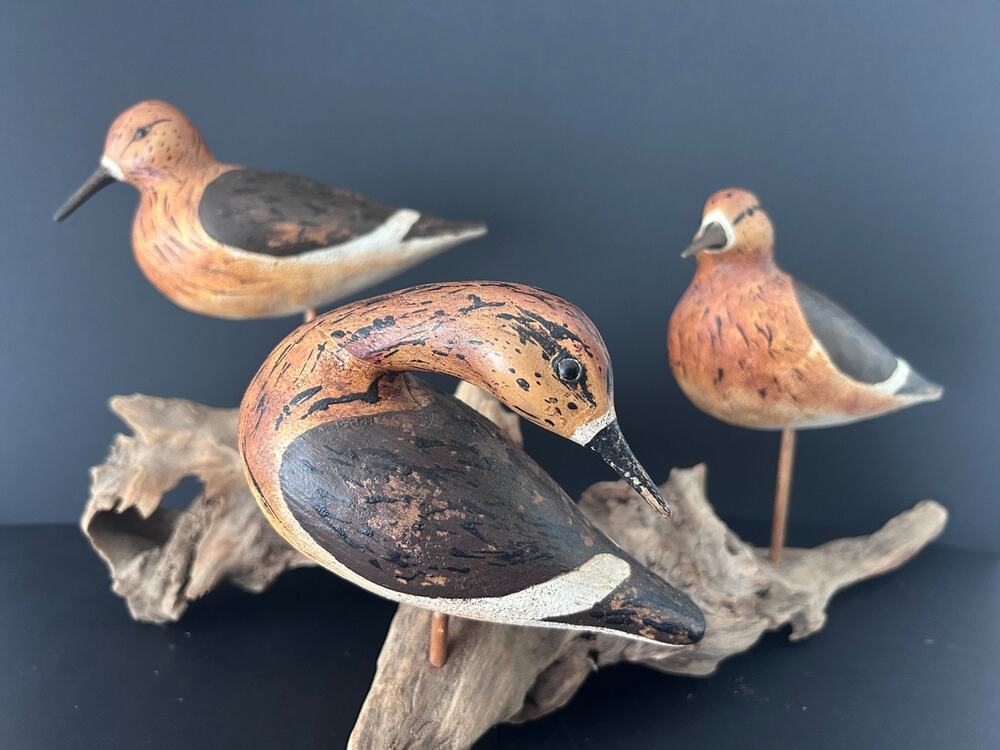 Signed RA Hand Carved & Painted Set Of 3 Shorebirds on Driftwood Base